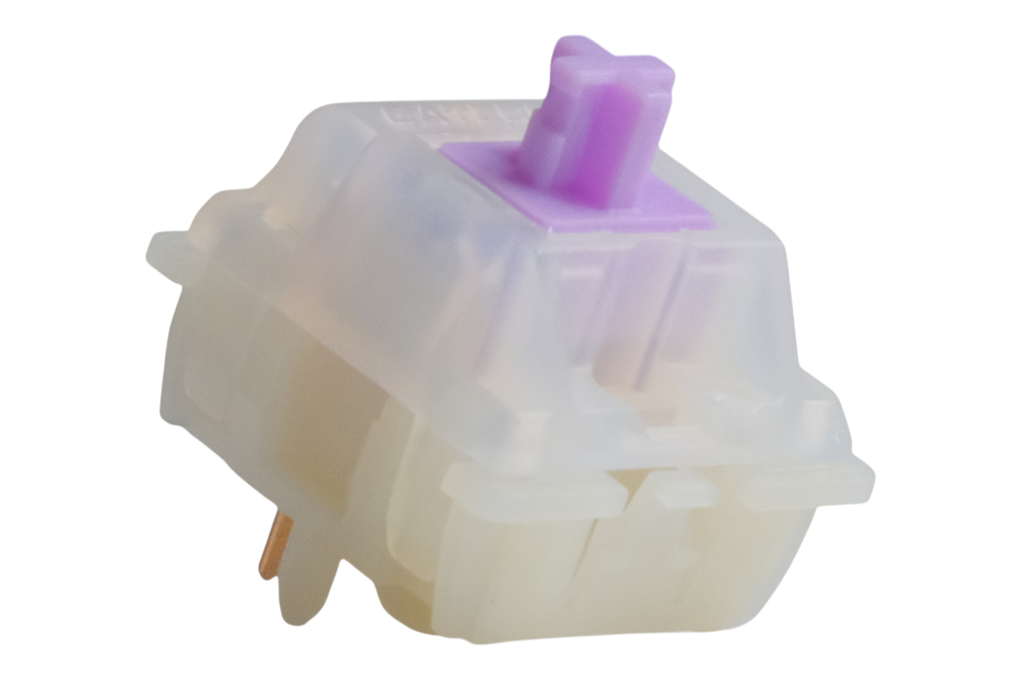 Invyr Holy Panda Tactile Switch · Milktooth